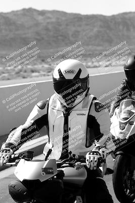 media/Mar-08-2025-TrackXperience (Sat) [[277b597a28]]/1-Around the Pits - Pre Grid/